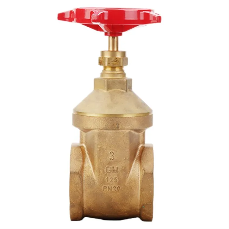 IFAN Gate Valve