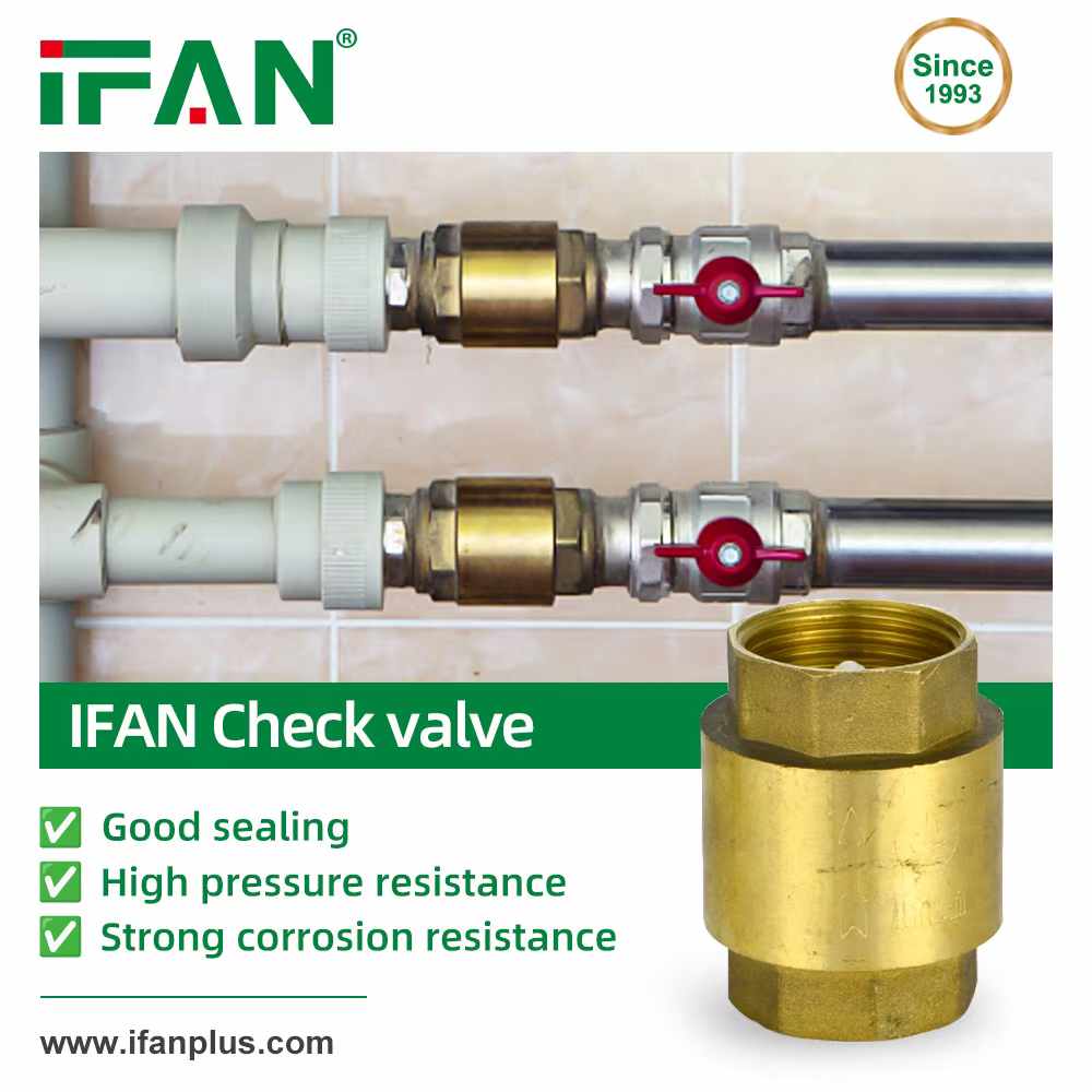 IFAN Check valve IFAN Check valve